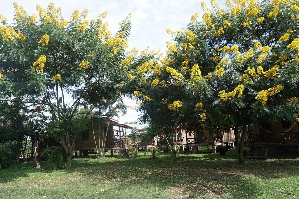 Family Hut Pai Hotel Exterior photo